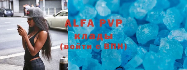 mdpv Каменногорск